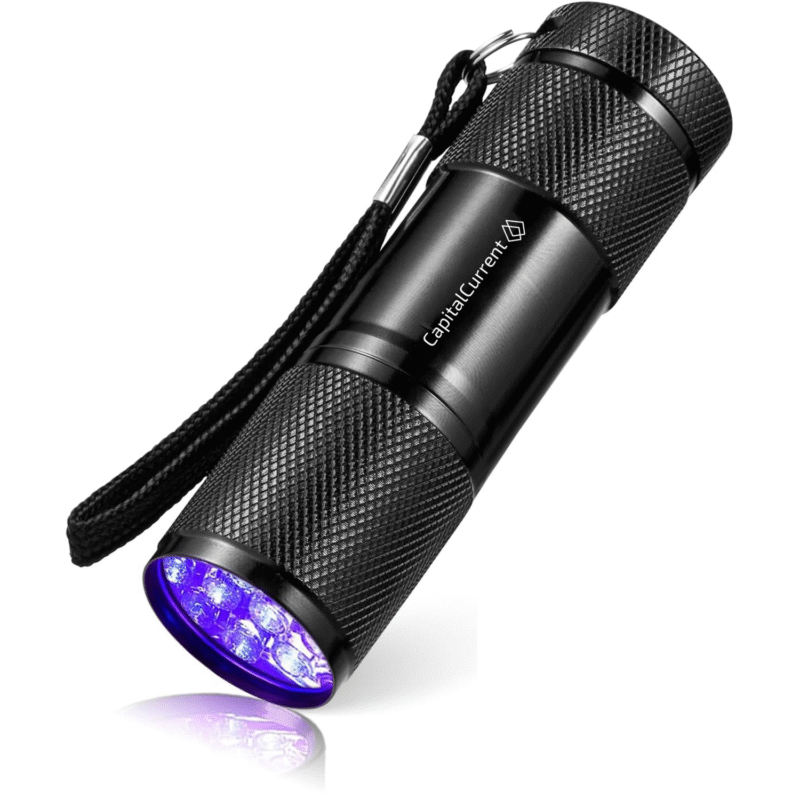 Black Mini UV Flashlight